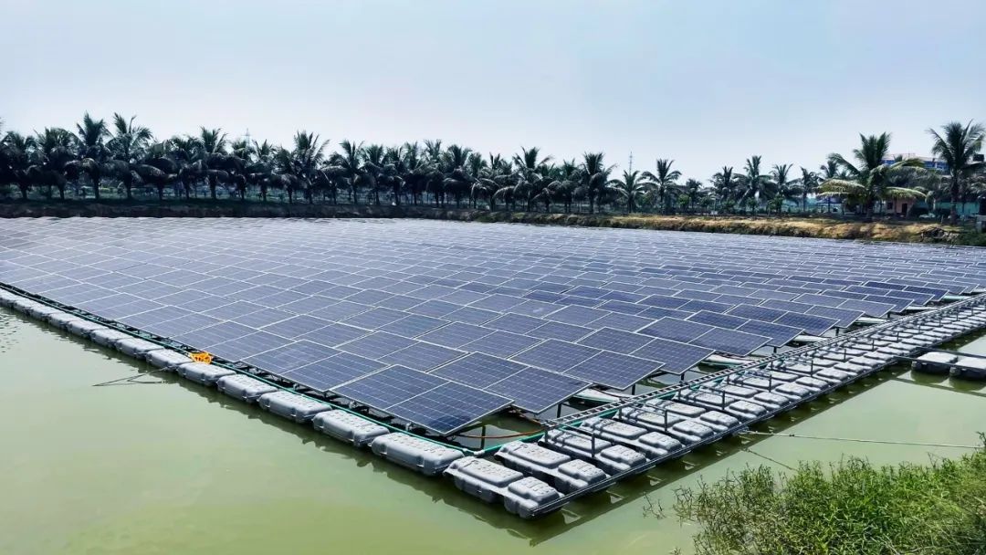 /ueditor/image/20250909/1757397305746586/d410905598c321dcdbec82ac7b3c506b.jpg 9jT3QfDAAObrWVXvKf4poJFwSoTjKxCdz2X4ZTVq.jpg